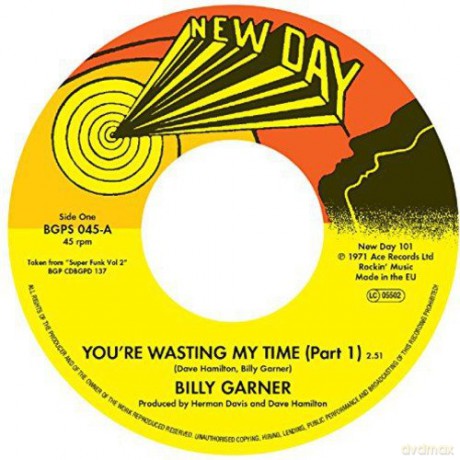 Billy Garner: YouRe Wasting My Time [Winyl]
