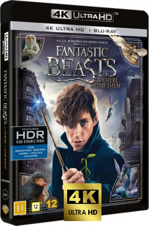 Fantastic Beasts and Where to Find Them (Fantastyczne zwierzęta i jak je znaleźć) [Blu-Ray 4K]+[Blu-Ray]