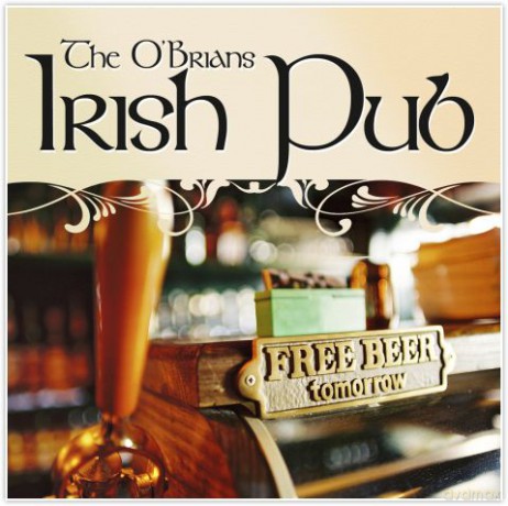 Irish Pub Songs [CD]