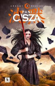 Zapiski stali (Tom 2) Pani cisza - Arkady Saulski [KSIĄŻKA]