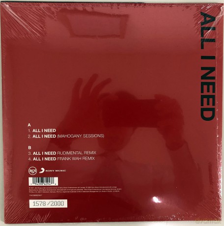 Jake Bugg: All I Need [Winyl]