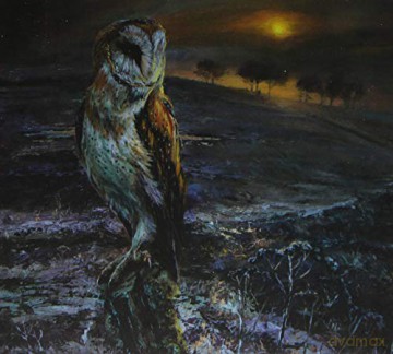 Flock Named Murder: An Appointed Time [CD]