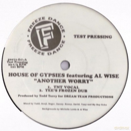 House Of Gypsies: Another Worry [Winyl]