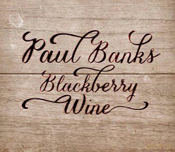 Paul Banks: Blackberry Wins [CD]