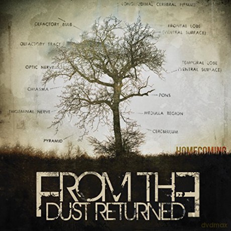 From the Dust Returned: Homecoming [CD]