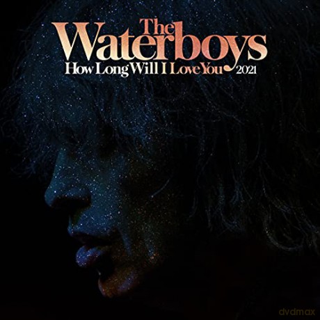 Waterboys: How Long Will I Love You (RSD 2021) [Winyl]