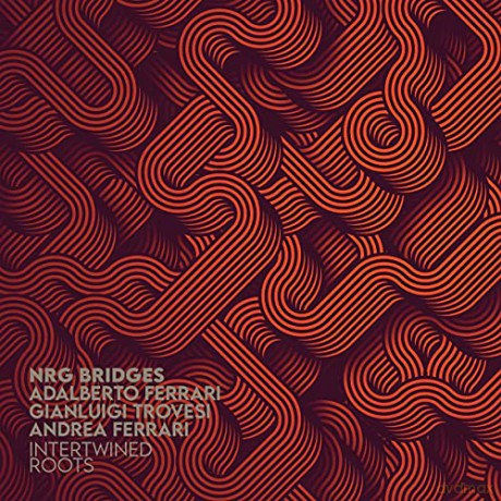 Nrg Bridges: Intertwined Roots [CD]