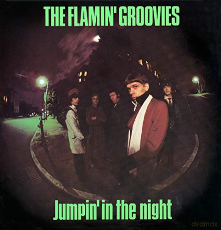 Flamin' Groovies: Jumpin In The Night [CD]