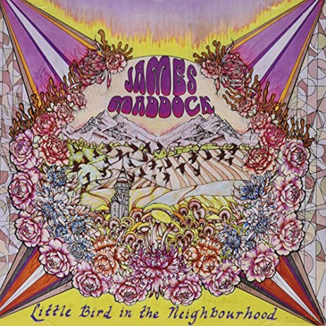 James Maddock: Little Bird In The Neighbourhood [CD]