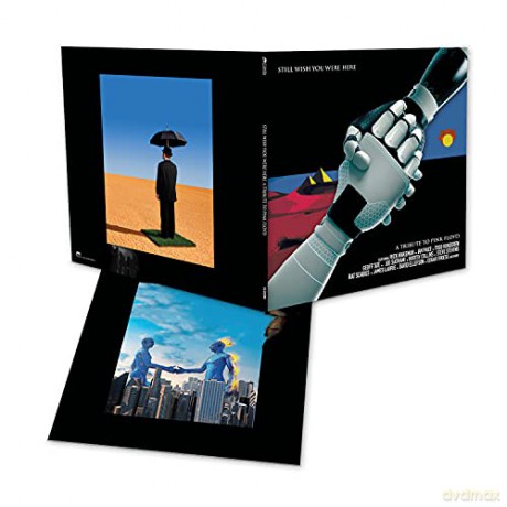 Pink Floyd Tribute: Still Wish You Were Here [Winyl]