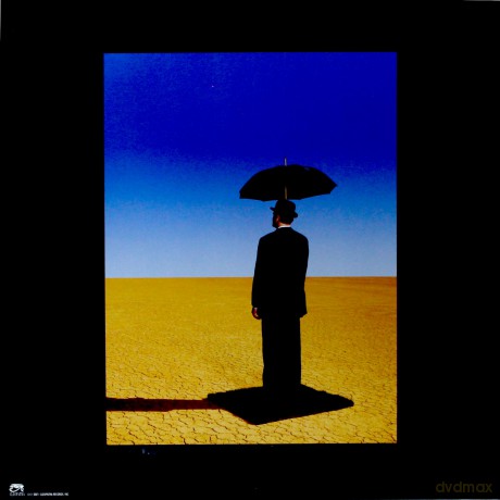 Pink Floyd Tribute: Still Wish You Were Here [Winyl]