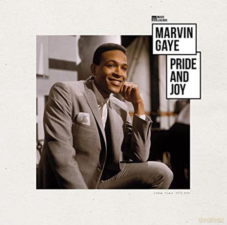 Marvin Gaye: Pride And Joy [Winyl]