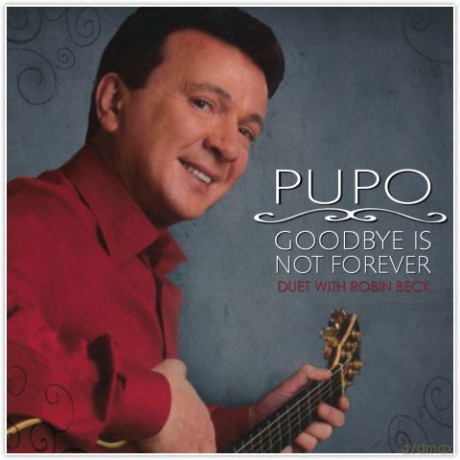 Goodbye Is Not Forever [CD]