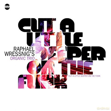 Cut A Little Deeper On The Fun [CD]