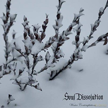 Soul Dissolution: Winter Contemplations (Limited) [Winyl]