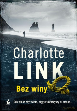 Bez winy - Charlotte Link [KSIĄŻKA]