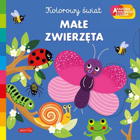 Małe zwierzęta. Akademia mądrego dziecka. Kolorowy świat - Melanie Combes [KSIĄŻKA]