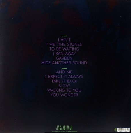 Dinosaur Jr: Sweep It Into Space [Winyl]