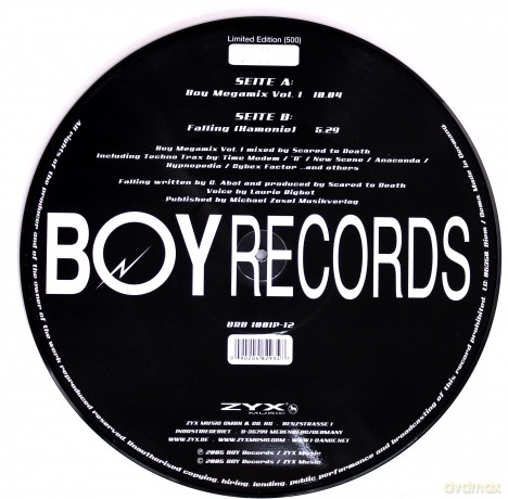 Boy Megamix Vol. 1 (Picture Disc) [Winyl]