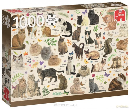 1000 el. PC Westering Koty [PUZZLE]