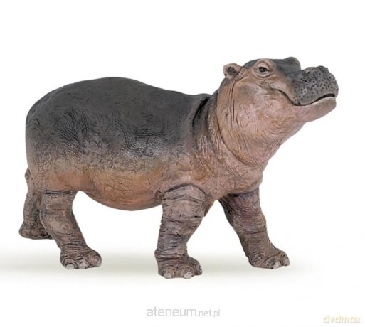 Hipopotam młody [FIGURKA]