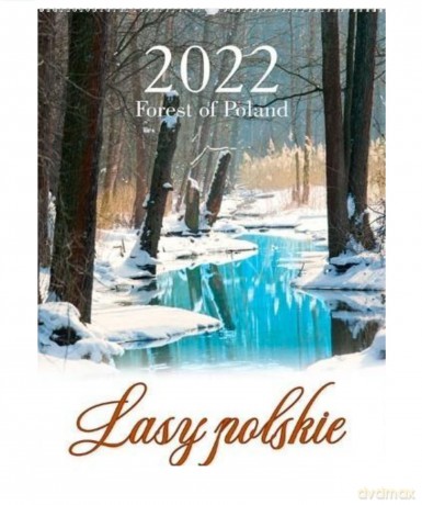 Kalendarz 2022 Reklamowy Lasy polskie RW4 [KALENDARZ]