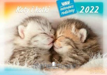 Kalendarz 2022 Rodzinny Koty i kotki WL9 [KALENDARZ]