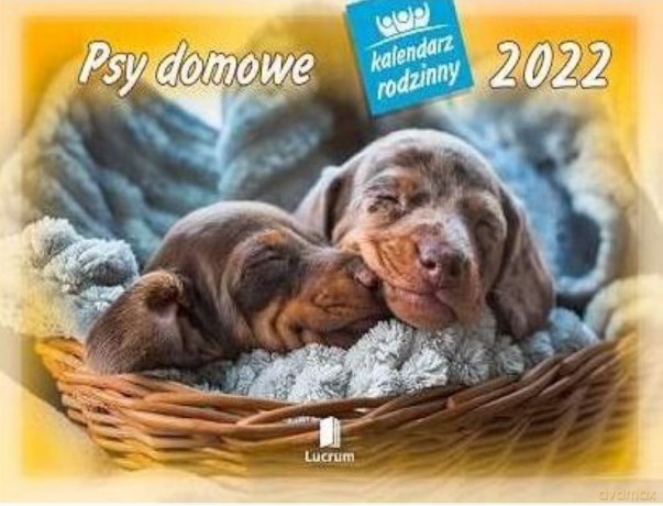 Kalendarz 2022 Rodzinny Psy domowe WL8 [KALENDARZ]