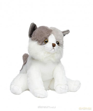 Kot biało-szary 24 cm