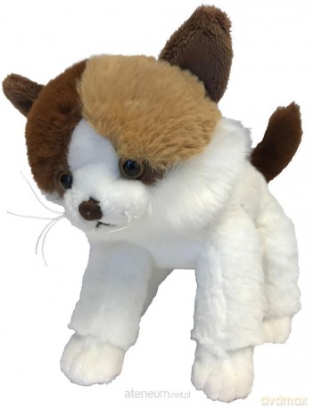 Kot Gosan biało-brązowy 24 cm