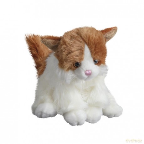Kot Tusse rudy 24 cm