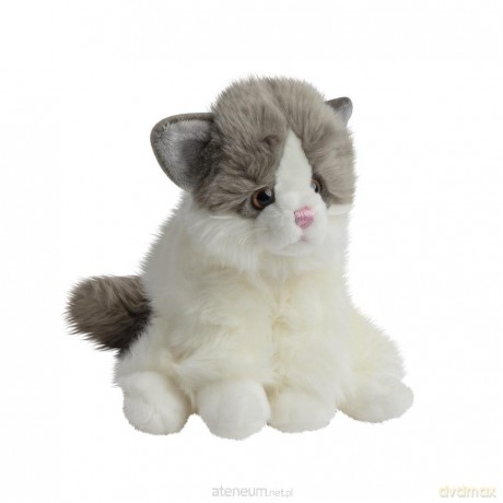 Kot Tusse szary 24 cm