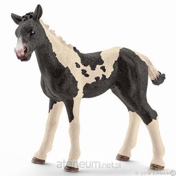 Łaciaty źrebak [FIGURKA]