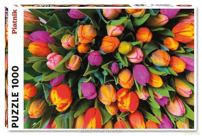 PIATNIK 1000 el. - Tulipany [PUZZLE]