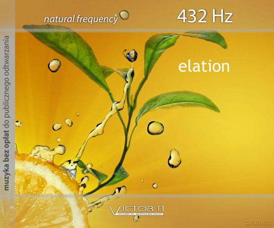 Elation - Tomasz Kurjata [CD]