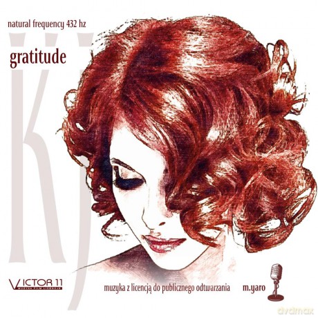 Gratitude - Chillout 432 Hz [CD]