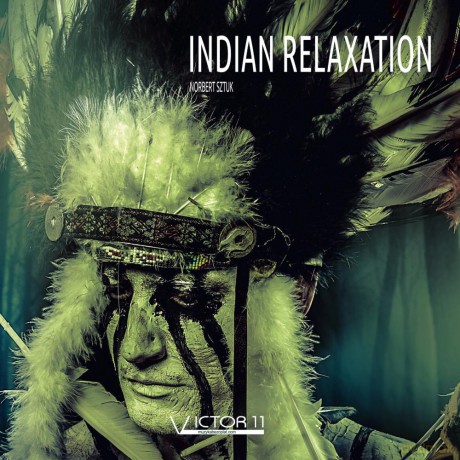 Indian Relaxation - 432 Hz [CD]