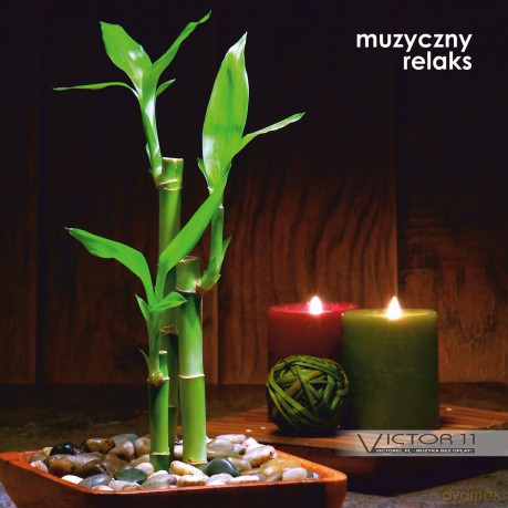 Muzyczny Relaks -Kaminiecki, Christ [CD]