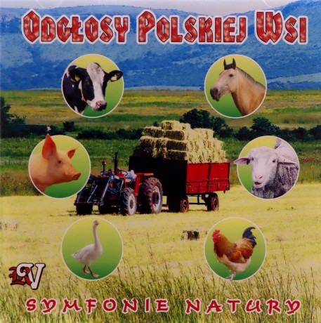Odgłosy Polskiej Wsi 432 Hz [CD]