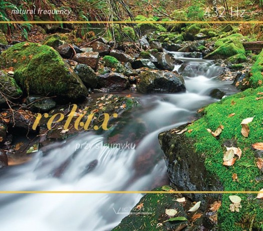 Relaks Przy Strumyku [CD]