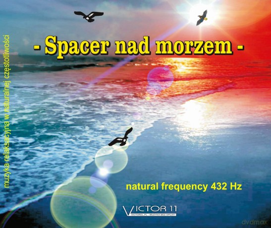 Spacer Nad Morzem [CD]