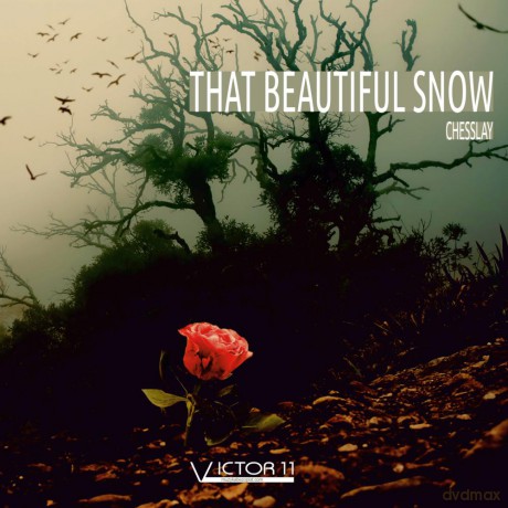 That Beautiful Snow 432 Hz - Chesslay [CD]
