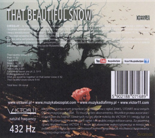 That Beautiful Snow 432 Hz - Chesslay [CD]