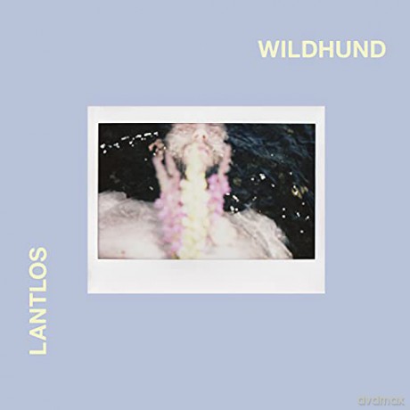 Lantlos: Wildhund [CD]