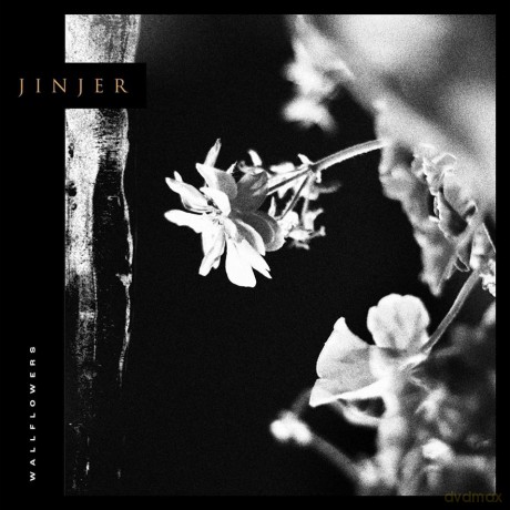 Jinjer: Wallflowers [Winyl]