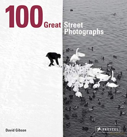 100 Great Street Photographs: Paperback Edition - David Gibson [KSIĄŻKA]