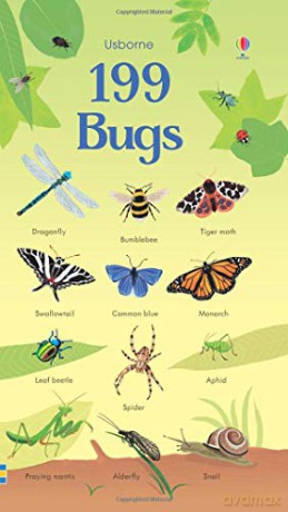 199 Bugs 199 Pictures - Hannah Watson [KSIĄŻKA]
