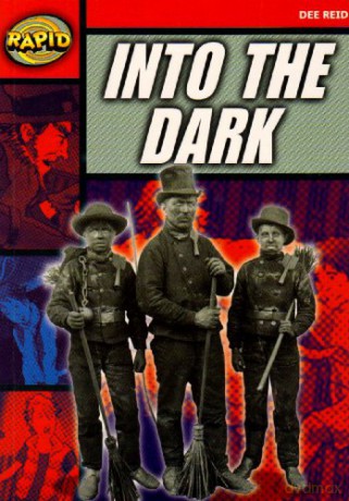 Into The Dark - Dee Reid [KSIĄŻKA]