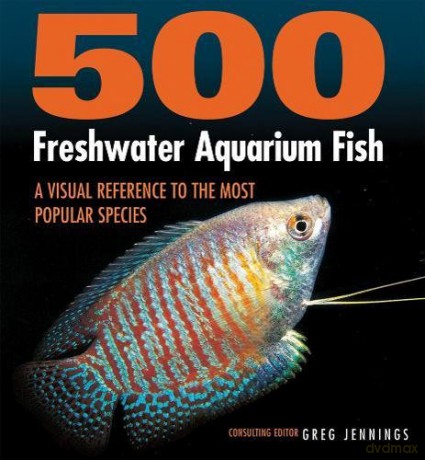 500 Freshwater Aquarium Fish: A Visual Reference to the Most Popular Species - Greg Jennings [KSIĄŻKA]