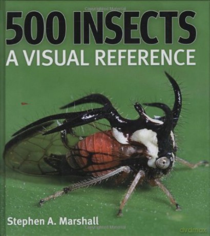 500 Insects: A Visual Reference Firefly Visual Reference - Stephen A. Marshall [KSIĄŻKA]